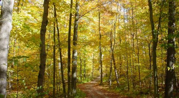 The Awesome Hike That Will Take You To The Most Spectacular Fall Foliage In Michigan
