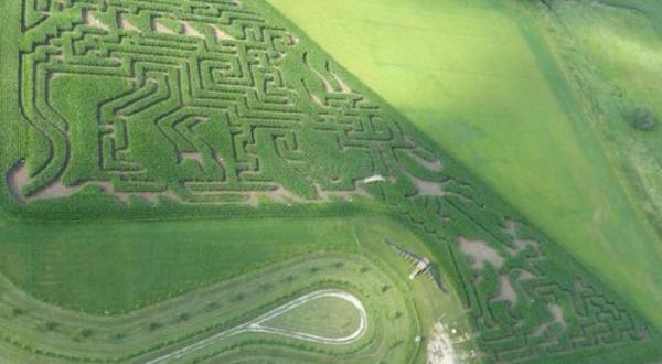 Get Lost In This Awesome 12-Acre Corn Maze In Minnesota This Autumn