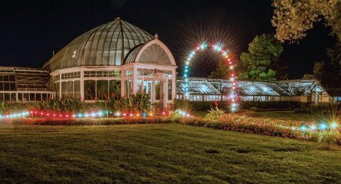 The Illuminated Garden Walk In New York You Simply Won't Want To Miss