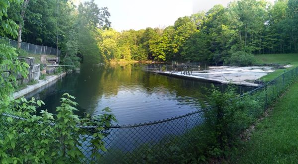 The Incredible Spring-Fed Pool Near Cleveland You Absolutely Need To Visit