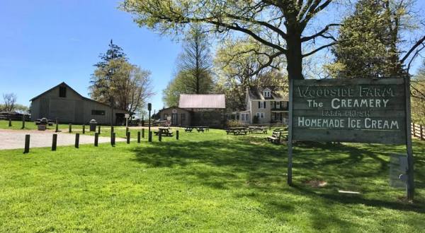 A Trip To This Incredible Ice Cream Farm In Delaware Will Delight You In Every Way