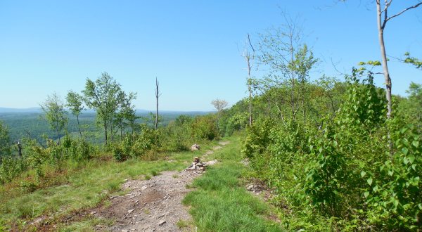 Take An Unforgettable Hike To The Top Of Maryland’s Highest Mountain