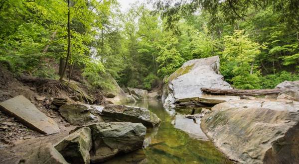 10 Easy Hikes Around Cleveland You’ll Want To Knock Off Your Summer Bucket List