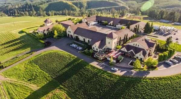 One Of The Largest Organic Vineyards In The Whole Wide World Is Right Here In Oregon