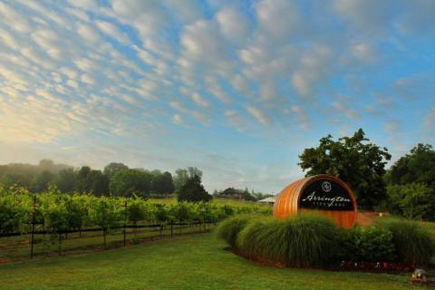 You'll Love Lounging Under The Oak Trees At This 75-Acre Winery In Tennessee