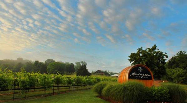 You’ll Love Lounging Under The Oak Trees At This 75-Acre Winery In Tennessee