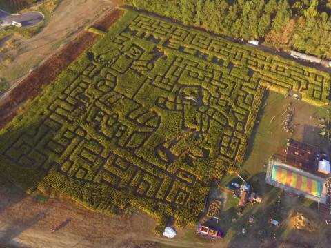 Get Lost In This Awesome 8-Acre Corn Maze In Virginia This Autumn