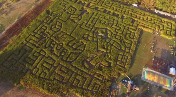 Get Lost In This Awesome 8-Acre Corn Maze In Virginia This Autumn
