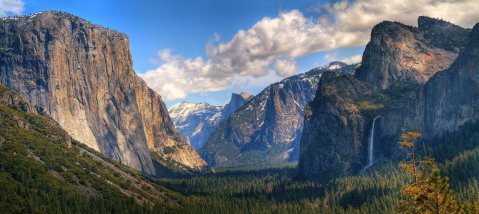Yosemite National Park Has Reopened Its Grove Of Giant Sequoias And Now Is The Time To Visit