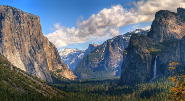 Yosemite National Park Has Reopened Its Grove Of Giant Sequoias And Now Is The Time To Visit