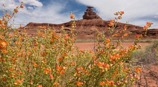 This Utah Getaway Might Be In The Middle Of Nowhere, But It’s Well Worth A Visit