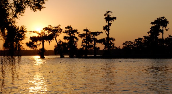 7 Amazing Natural Attractions In Louisiana To Put On Your Bucket List This Year