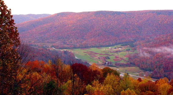 You’ll Be Happy To Hear That Tennessee’s Fall Foliage Is Expected To Be Bright And Bold This Year