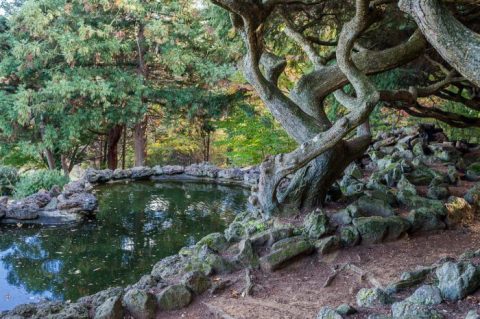 The Secret Garden In New Jersey You’re Guaranteed To Love