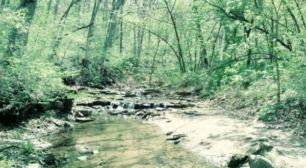 9 Totally Kid-Friendly Hikes In Iowa That Are 1 Mile And Under