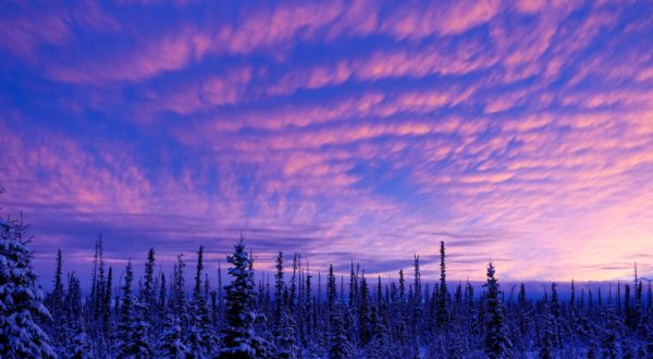 You’ll Be Pleased To Hear That Alaska’s Upcoming Winter Is Supposed To Be More Mild Than Last Year’s