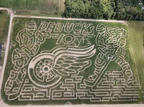 Get Lost In This Awesome 15-Acre Corn Maze In Michigan This Autumn