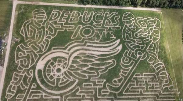 Get Lost In This Awesome 15-Acre Corn Maze In Michigan This Autumn