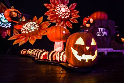 There's A Glowing Pumpkin Trail Coming To Pennsylvania And It'll Make Your Fall Magical