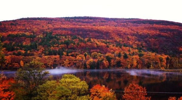 You’ll Be Pleased To Hear That Vermont’s Fall Foliage Is Predicted To Be Bright And Bold This Year