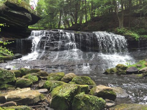 The Ultimate Bucket List For Anyone In Pittsburgh Who Loves Waterfall Hikes