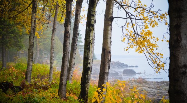 The Awesome Hike That Will Take You To The Most Spectacular Fall Foliage In Minnesota