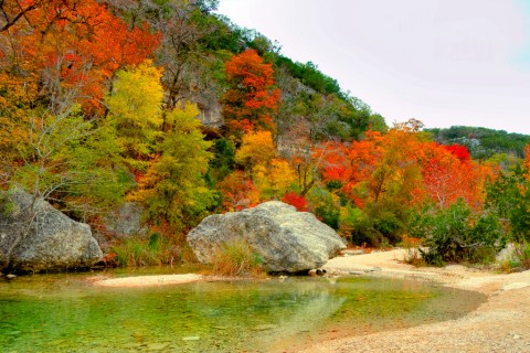You’ll Be Pleased To Hear That Texas' Fall Foliage Is Predicted To Be Bright And Bold This Year