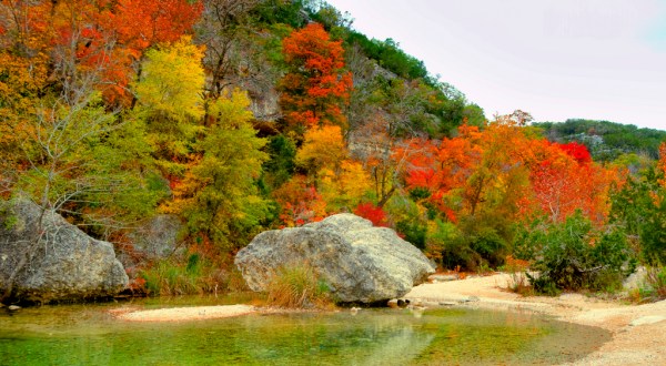 You’ll Be Pleased To Hear That Texas’ Fall Foliage Is Predicted To Be Bright And Bold This Year