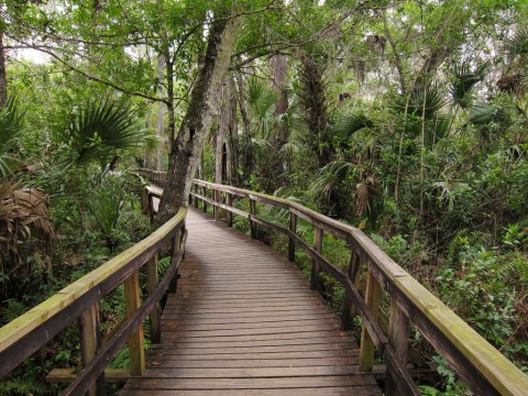 You'll Love The Endless Skies At This Enchanting Park In Florida