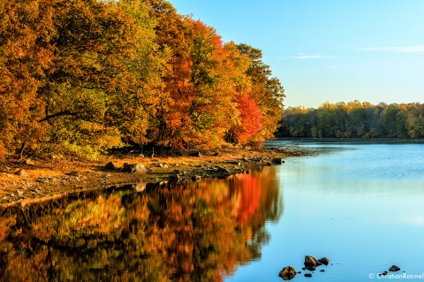 You'll Be Pleased To Hear That Connecticut's Fall Foliage Is Predicted To Be Bright And Bold This Year