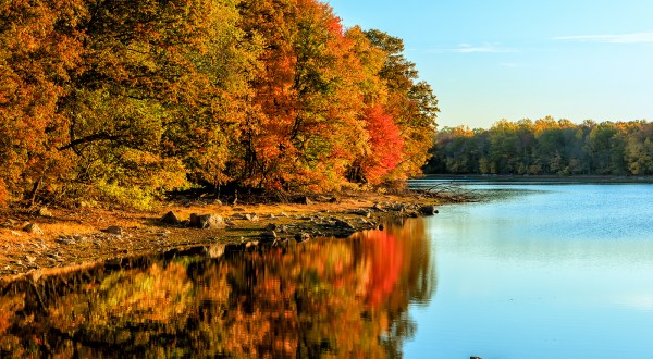 You’ll Be Pleased To Hear That Connecticut’s Fall Foliage Is Predicted To Be Bright And Bold This Year
