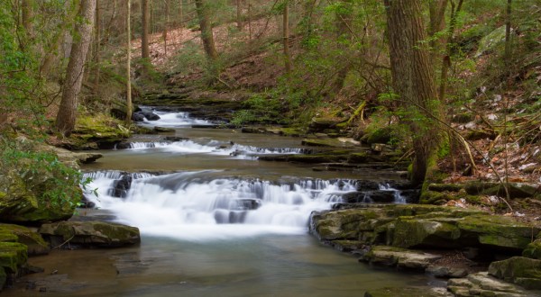 The Shady, Creekside Trail In Tennessee You’ll Want To Hike Again And Again