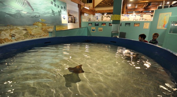 Not Many People Know About This Marine Museum Right Here In Maryland