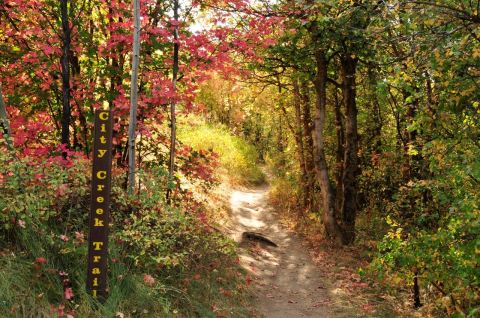 The Awesome Hike That Will Take You To The Most Spectacular Fall Foliage In Idaho