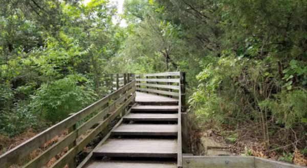 This Illinois Park Has Endless Boardwalks And You’ll Want To Explore Them All