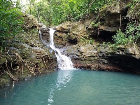 This Waterfall Swimming Hole In Hawaii Is So Hidden You’ll Probably Have It All To Yourself