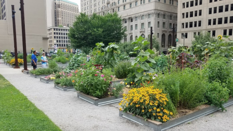 The 9 Secret Parks Of Detroit You've Never Heard Of But Need To Visit
