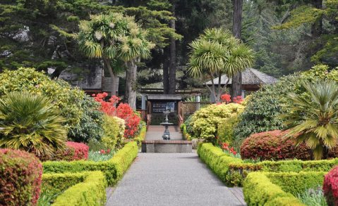 The Incredible Oregon Park You’ll Want To Visit Over And Over Again