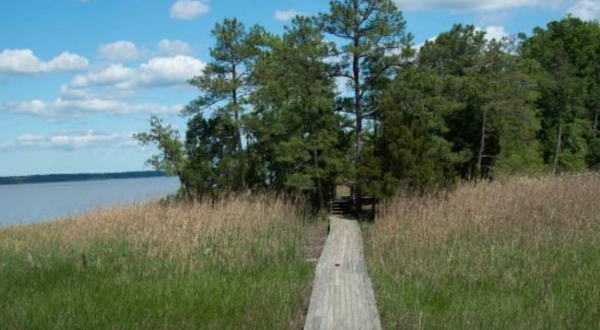 The Unique Boardwalk Hike In Virginia Everyone In Your Family Will Love