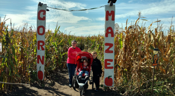 Get Lost In This Awesome 20-Acre Corn Maze In Iowa This Autumn