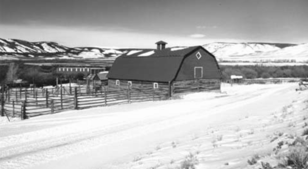 There’s Something Special About These 9 Wyoming Farms From The Past
