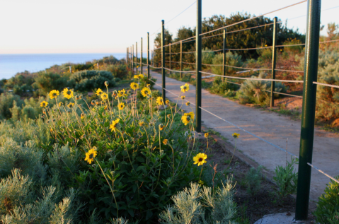 The Picturesque Nature Preserve In Southern California That Will Bring Out The Explorer In You