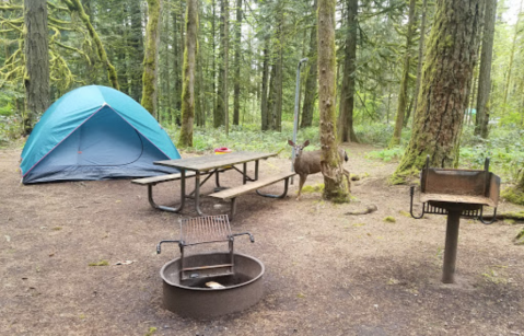 This Fairy Tale Campground In Oregon Is Like Something From A Dream