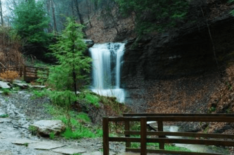 Your Kids Will Love This Easy 1-Mile Waterfall Hike Right Here In Pittsburgh
