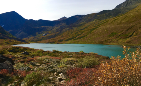 This Delicious Blueberry Hike In Alaska Will Wind Down Your Summer In All The Right Ways