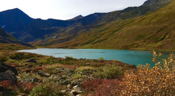 This Delicious Blueberry Hike In Alaska Will Wind Down Your Summer In All The Right Ways