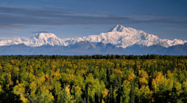 The Treetop Adventure In Alaska You’ll Absolutely Love