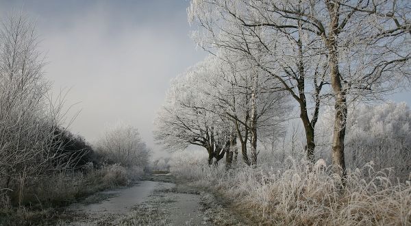 You’ll Be Pleased To Hear That Illinois’ Upcoming Winter Is Supposed To Be Way Warmer Than Last Year’s