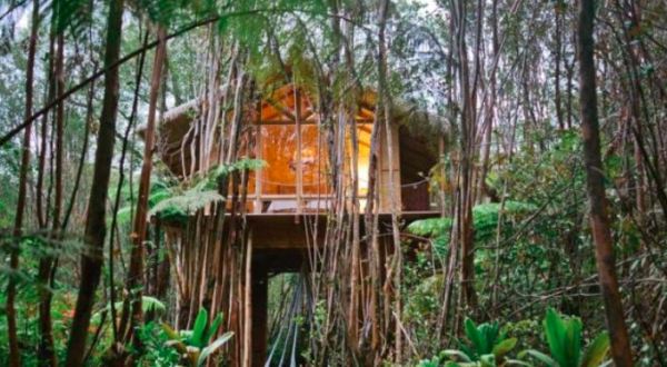 This Hawaiian Treehouse Is One Of The Most Wished For Airbnbs In The Whole Wide World