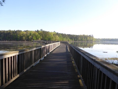 There's So Much To Love About This Hidden Boardwalk Trail In Virginia